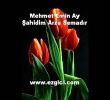 ahidim Arzu Semadr | Mehmet Emin Ay