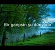 Mehmet Erarabac | Glme Glme Ala Gnl